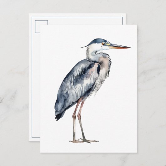 Coastal Blue Heron Bird Postkarte (Vorne/Hinten)