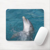 Coastal Bottlenose Dolphin Mousepad (Mit Mouse)