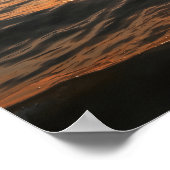 Coastal Dolphin Poster (Ecke)