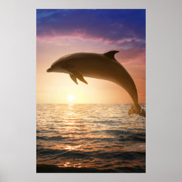 Coastal Dolphin Poster