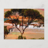 "Coastal Hops: Kangaroos an der Küste des Öls" Postkarte (Vorderseite)