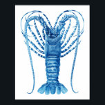 Coastal Kitchen Art Deco Blue Lobster Print no.8 Poster<br><div class="desc">Coastal Kitchen Art Deco Blue Lobster Print no.8</div>