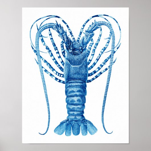 Coastal Kitchen Art Deco Blue Lobster Print no.8 Poster (Vorne)