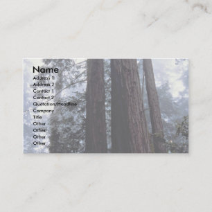 Coastal Redwoods, Lady Bird Johnson Grove, Califor Visitenkarte