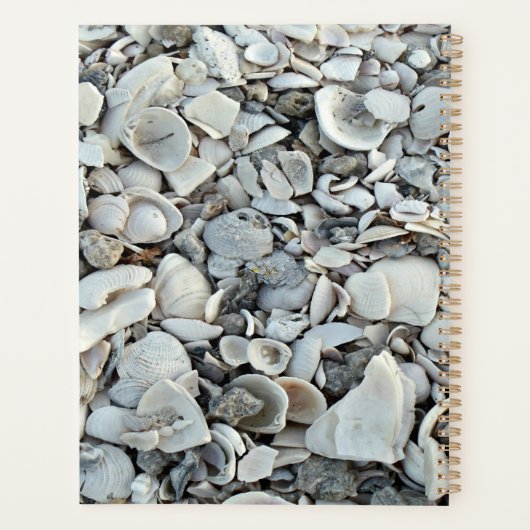 Coastal Shells Initial Planner Style Planer (Rückseite)