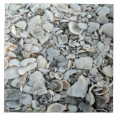 Coastal Shells Shore Tile Fliese (Vorderseite)