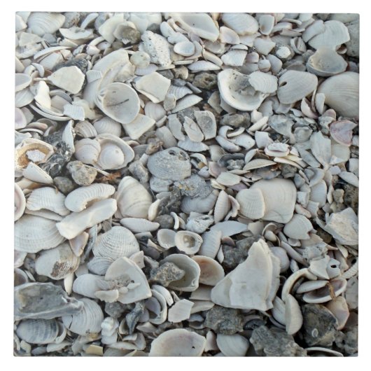 Coastal Shells Shore Tile Fliese (Vorderseite)