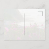 Coastal Sunset Madeira Postkarte (Rückseite)