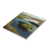 Coastal Tranquility Fliese (Seite)