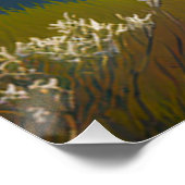 Coastal Tranquility Poster (Ecke)