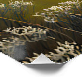 Coastal Tranquility Poster (Ecke)