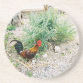 Coaster_Rooster Sandstein Untersetzer (Vorne)