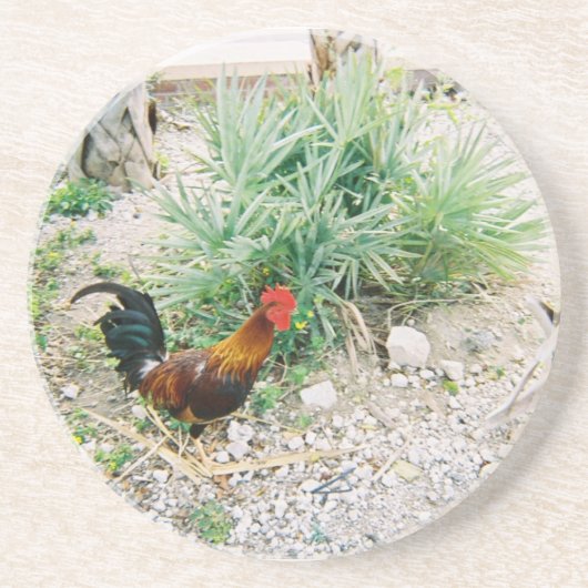Coaster_Rooster Sandstein Untersetzer (Vorne)