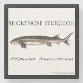 COASTER - STURGEON SHORTNOSE - acigifts@yahoo.com Steinuntersetzer