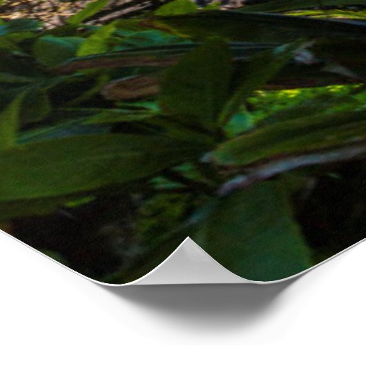 Coastline Poster (Ecke)