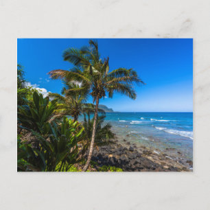 Coastline Postkarte