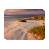 Coastline | Saltum Beach, Denmark