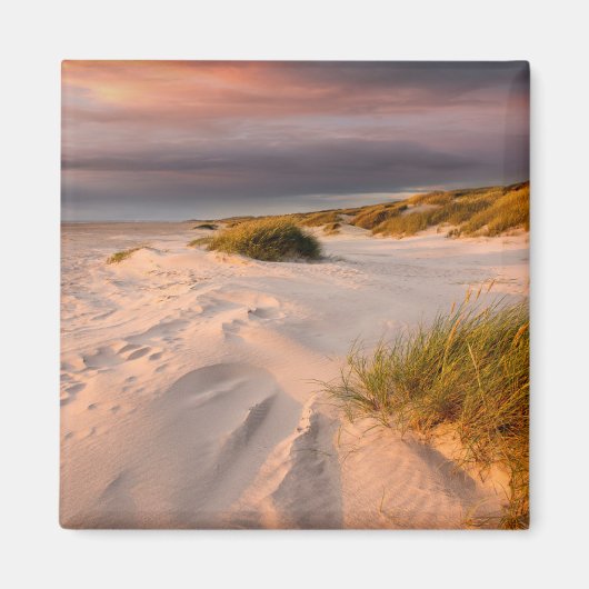 Coastline | Saltum Beach, Denmark Magnet (Vorne)