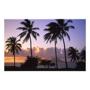 Coastline St. Kitts Fotodruck