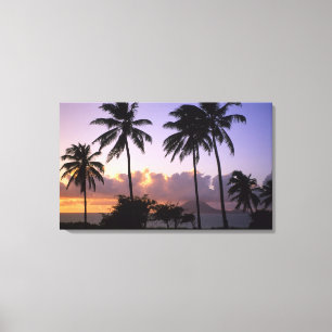 Coastline St. Kitts Leinwanddruck