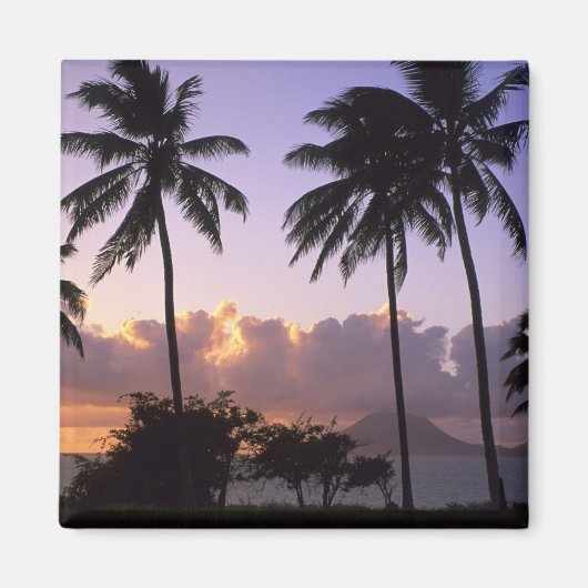 Coastline St. Kitts Magnet (Vorne)