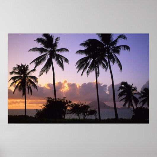 Coastline St. Kitts Poster (Vorne)
