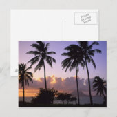 Coastline St. Kitts Postkarte (Vorne/Hinten)