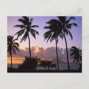 Coastline St. Kitts Postkarte