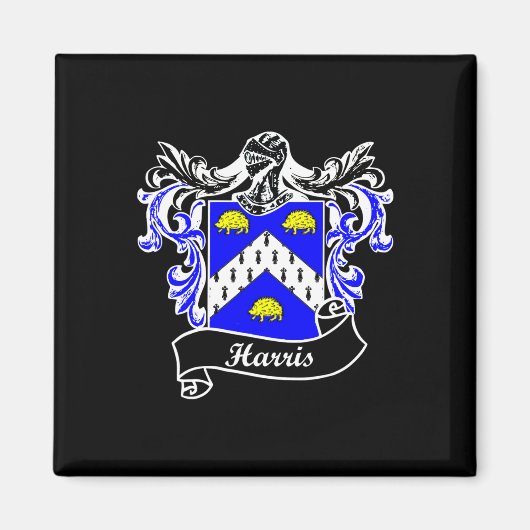 Coat of Arms Nachname Nachname Familienwappen Magnet (Vorne)