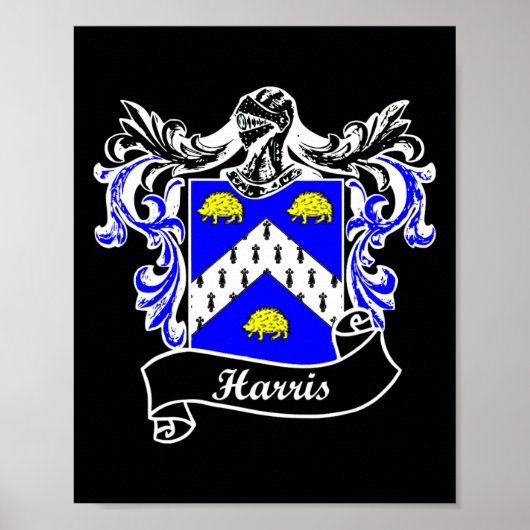Coat of Arms Nachname Nachname Familienwappen Poster (Vorne)