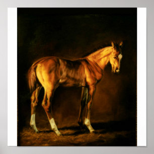 "COAT OF VIY FARLORS" VON LONNI CLARKE POSTER