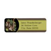 Coatamundi oder Weißnasen-Coati (Vorne)