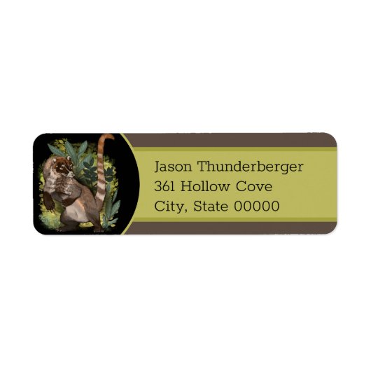 Coatamundi oder Weißnasen-Coati (Vorne)