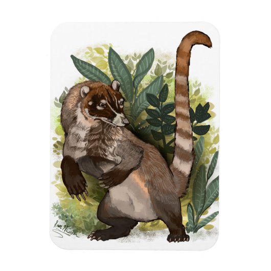 Coatamundi oder Weißnasen-Coati Magnet (Vertikal)
