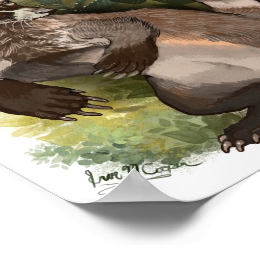 Coatamundi oder Weißnasen-Coati Poster (Ecke)