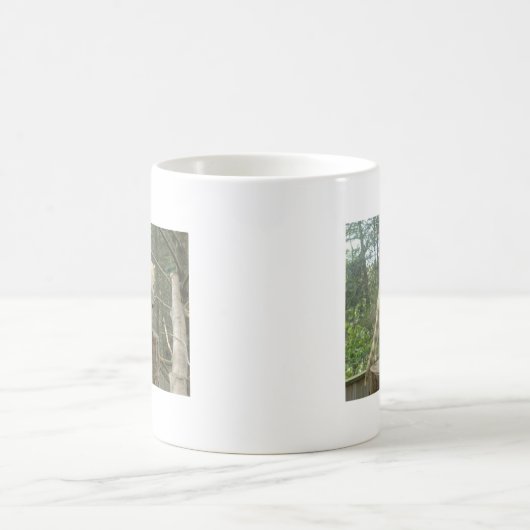 Coati Kaffeetasse (Mittel)