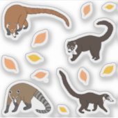 Coatis Aufkleber (Vorderseite)