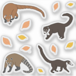 Coatis Aufkleber