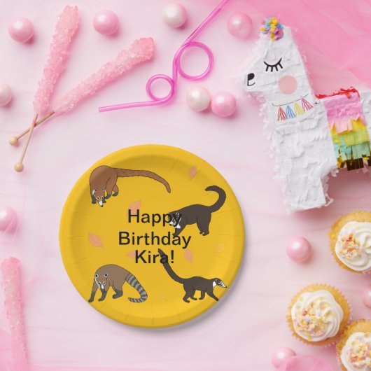 Coatis Birthday Pappteller (Party)