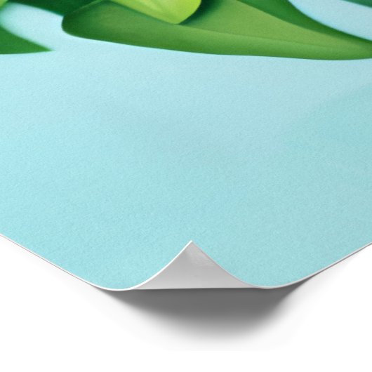 Cobalt Blue Hyacinths und Hydrangeas Poster (Ecke)