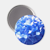 Cobalt Blue Hydrangea Magnet (Vorderseite/Rückseite)