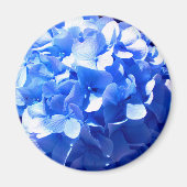Cobalt Blue Hydrangea Magnet (Vorne)