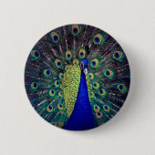 Cobalt Blue Peacock Button (Vorderseite)