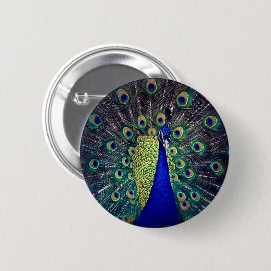 Cobalt Blue Peacock Button (Vorne & Hinten)