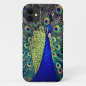 Cobalt Blue Peacock Case-Mate iPhone Hülle (Rückseite)