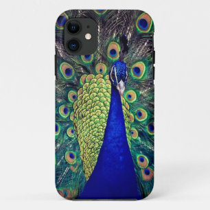 Cobalt Blue Peacock iPhone 11 Hülle