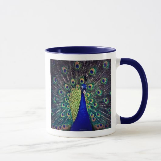 Cobalt Blue Peacock Coffee Tasse (Rechts)