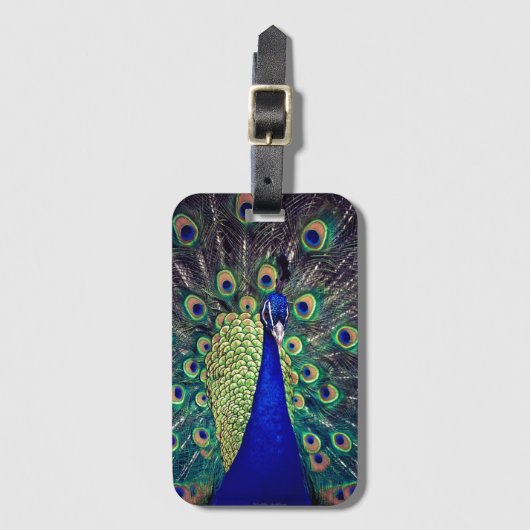 Cobalt Blue Peacock Gepäckanhänger (Vorderseite Vertikal)