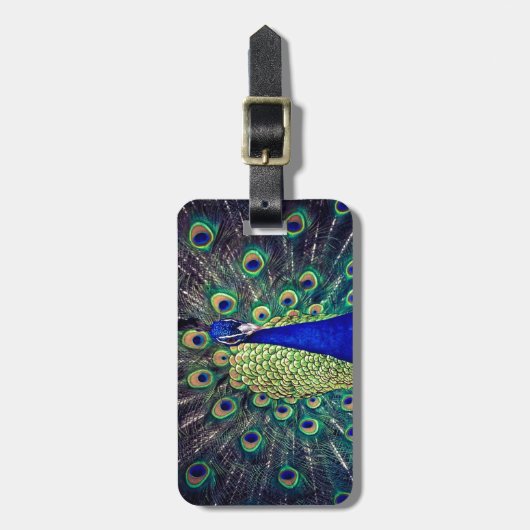 Cobalt Blue Peacock Gepäckanhänger (Vorderseite vertikal)