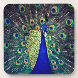 Cobalt Blue Peacock Getränkeuntersetzer